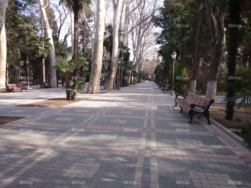 park