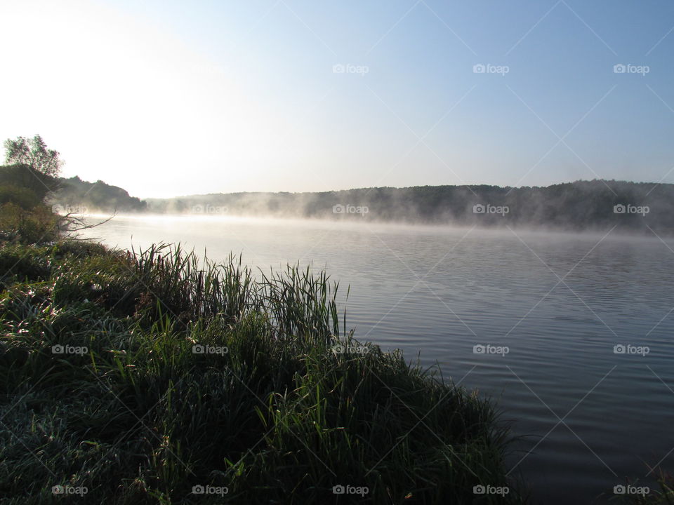 Foggy morning 