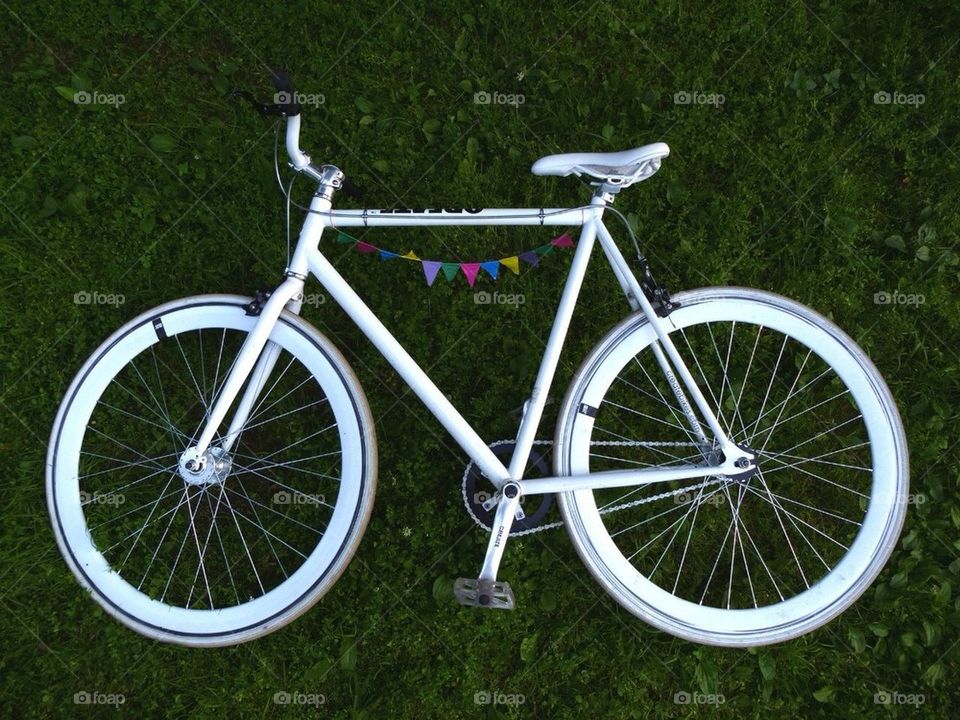 bicycle green summer color by mariyasakharova