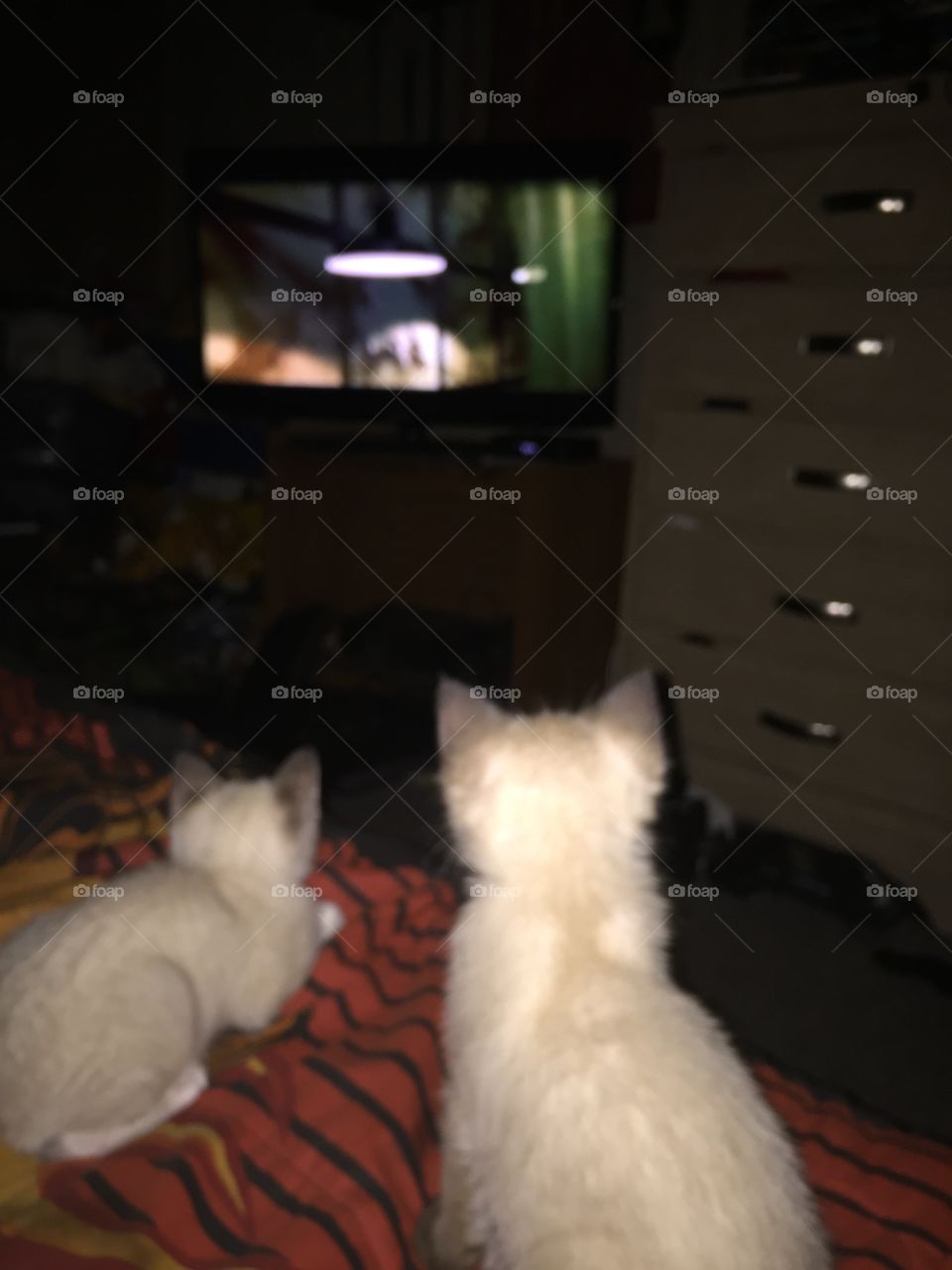 Decided to watch a little tv in the meantime