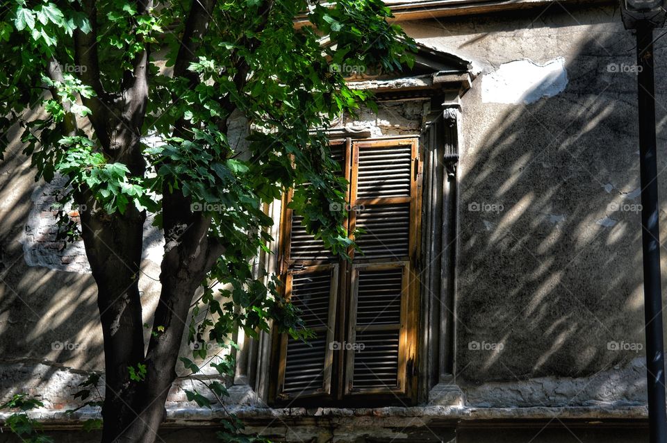 Wood, Window, House, No Person, Old