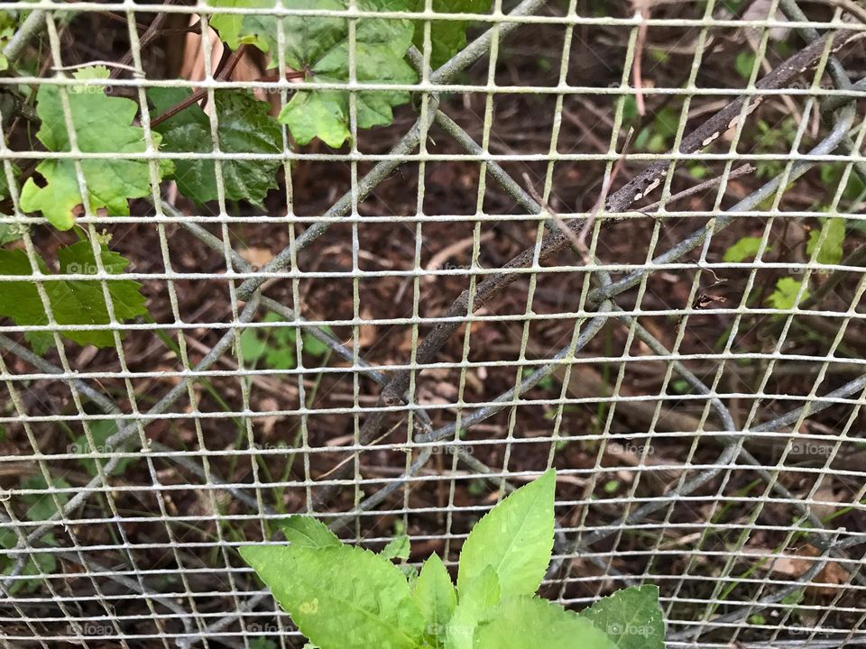Wire fence with triangles.