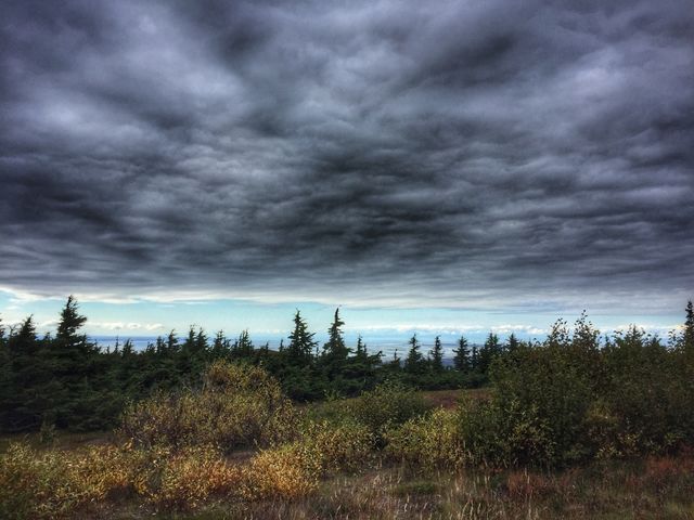 Alaska landscape 