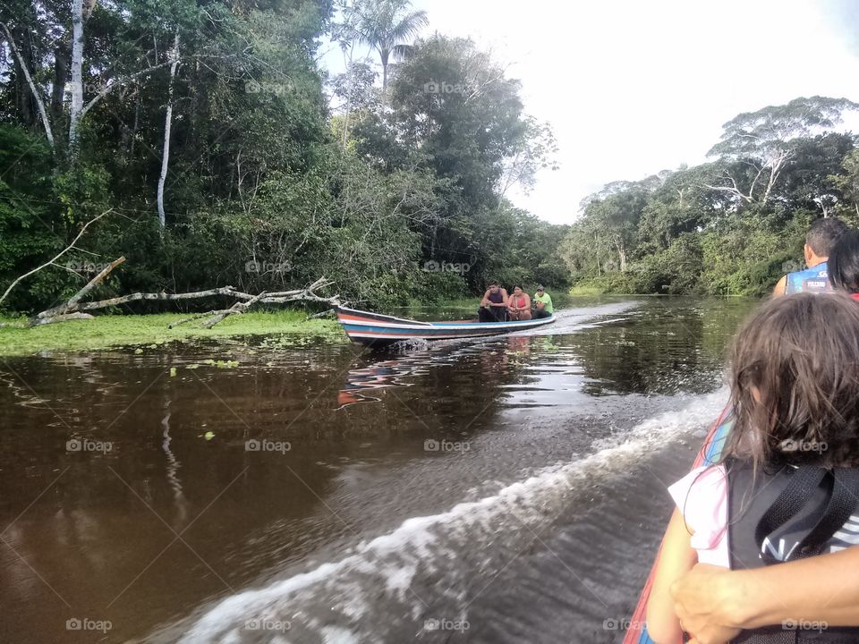 Walk along the rivers of the Amazon.
Amazonian beauties.