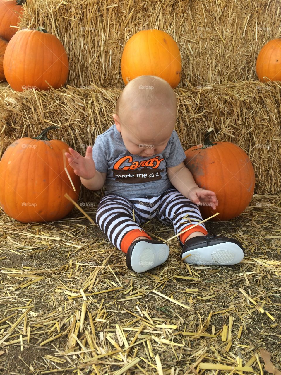 Hay, Halloween, Pumpkin, Child, Pasture
