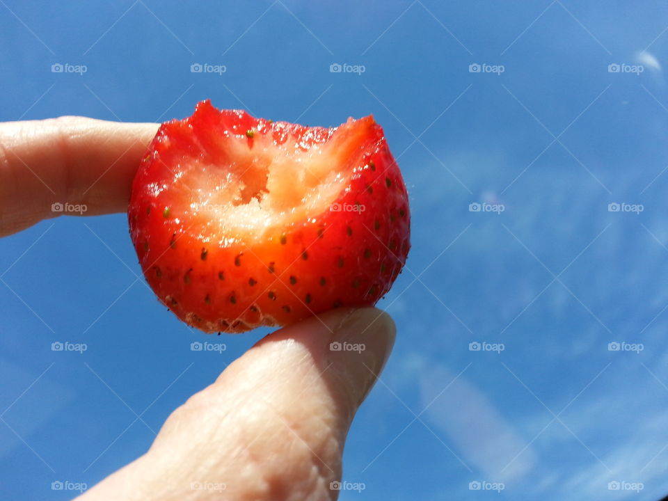 strawberry. berry