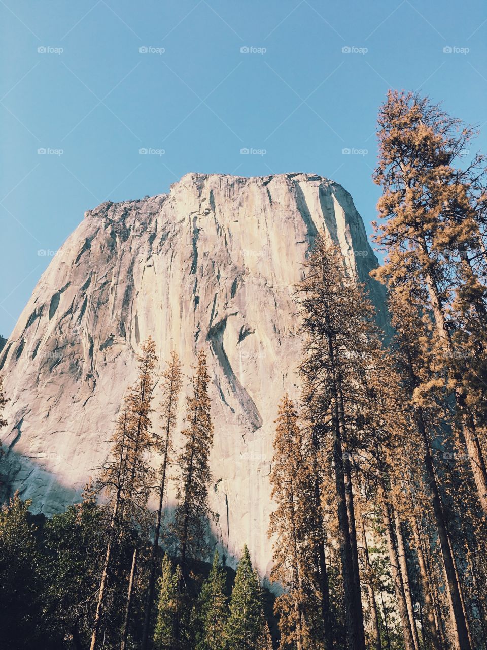 Yosemite National Park