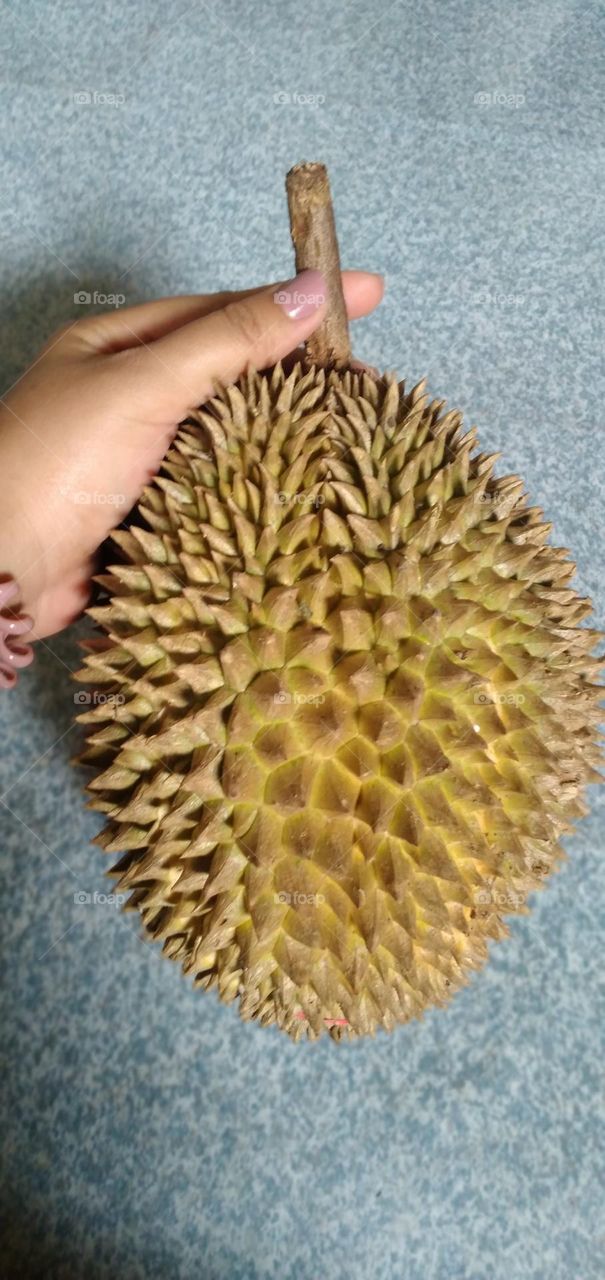 Durian fruit