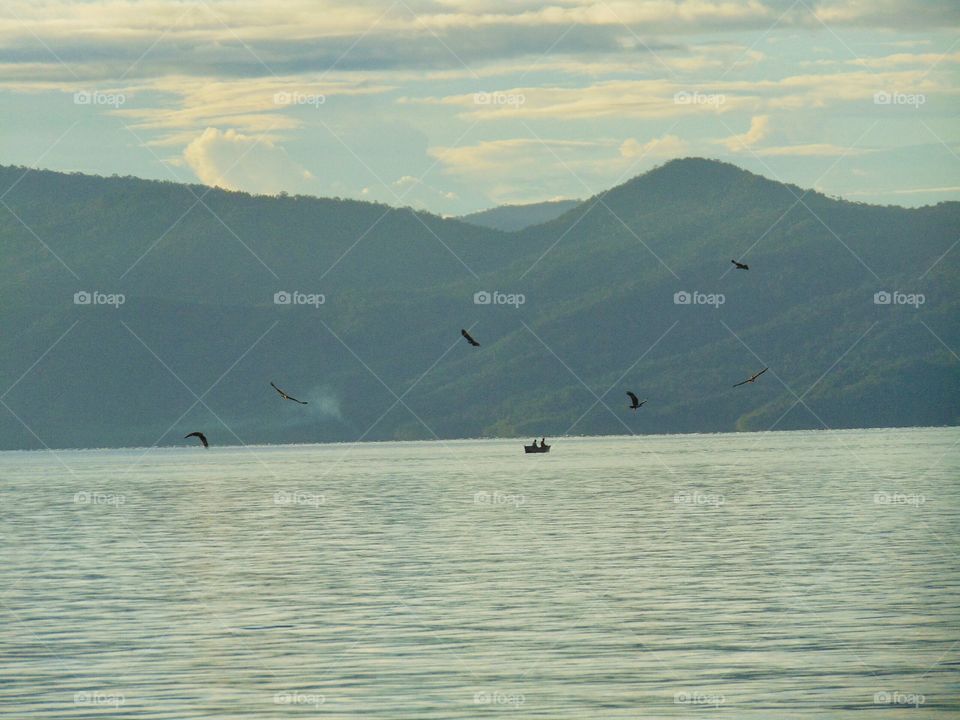 eagles and fisherman