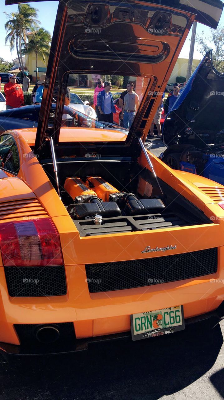 This Lamborghini was at a car show & specifically showed the beauty of the making of the engine