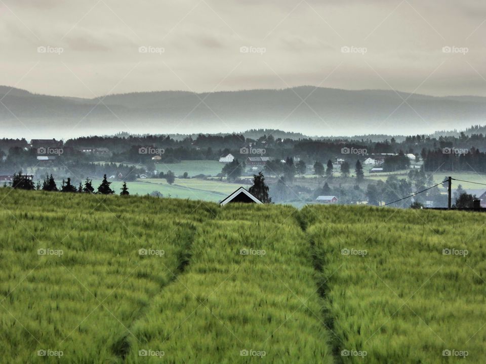 A misty morning at rural scene