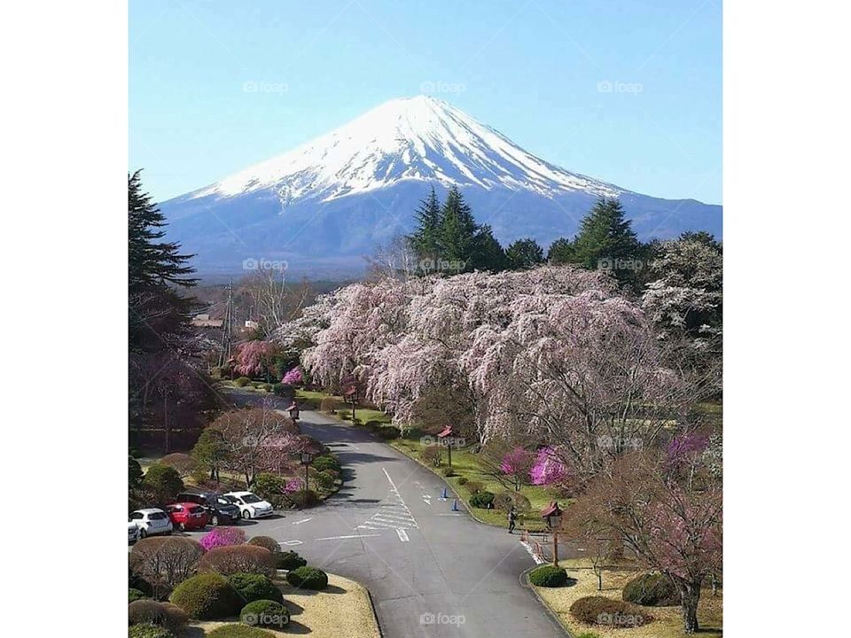 Mount Fuji Japan 