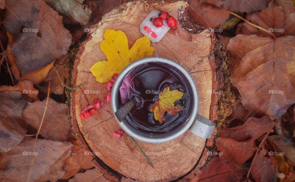 Close-up mug of tea in tree trunk during autumn