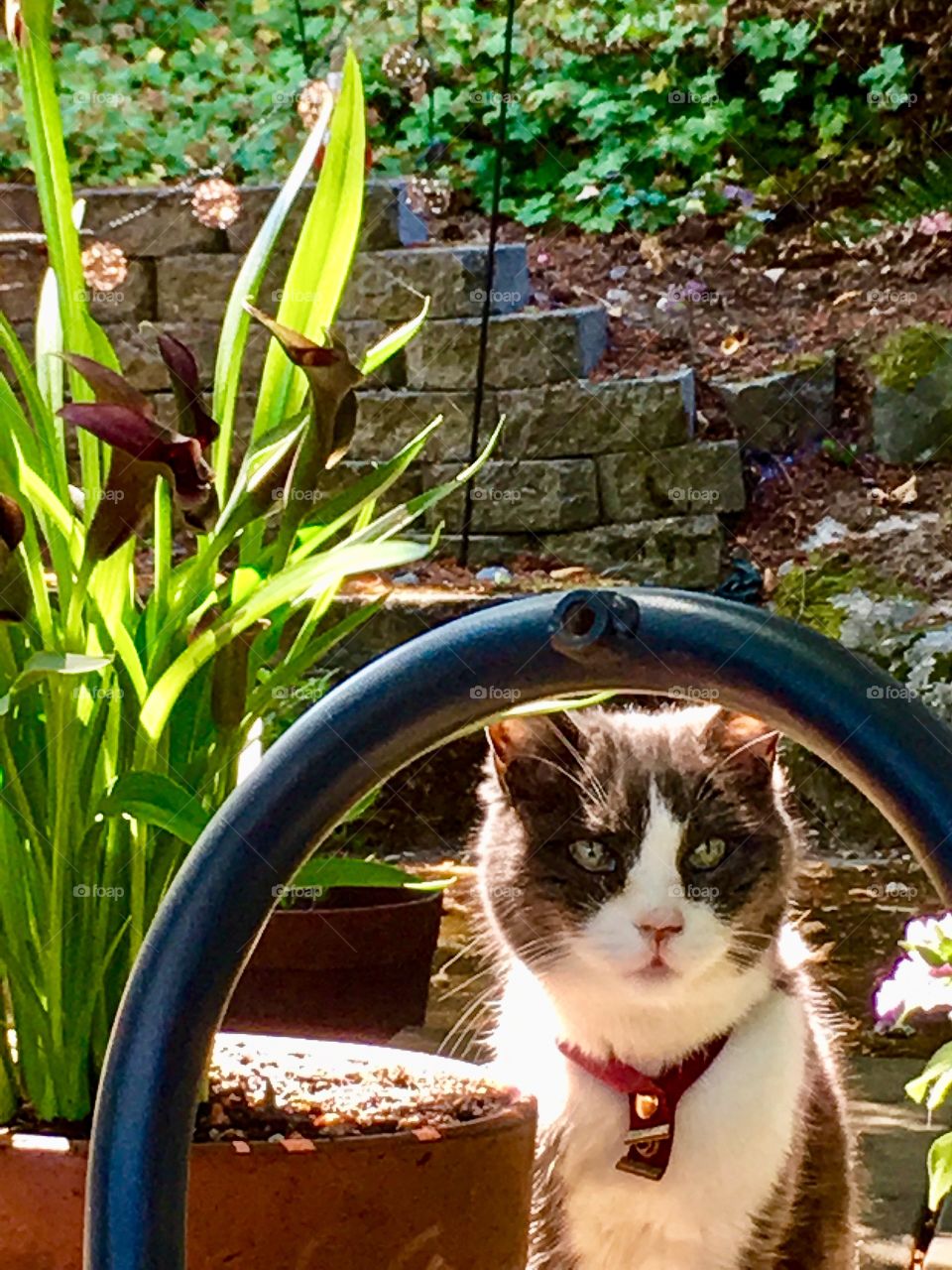 Is That.... Brie?????