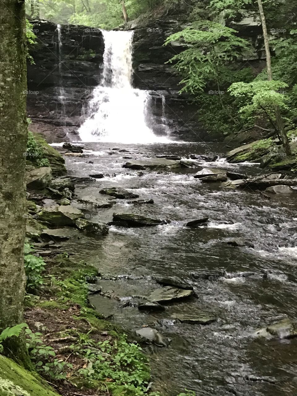Falls trail