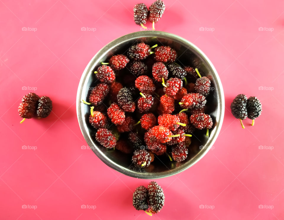 Red mulberry in India. Mulberry fruit in summertime. Fresh Mulberrys. healthy mulberry fruit food isolated.