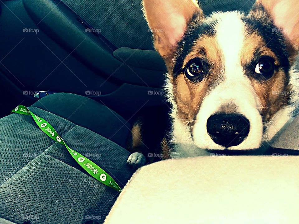 car ride with my best friend