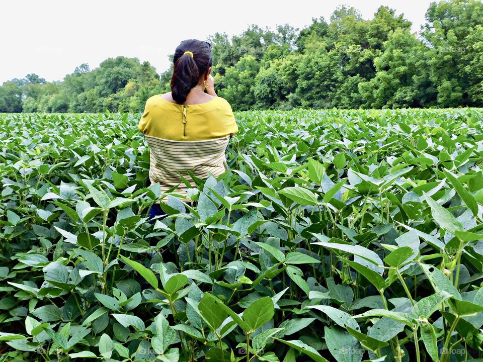 Girl in yellow inside a field of green bean plants - Green is a vibrant and eye-catching shade. It is a color you may use to make someone feel relaxed and calm or expand their imagination