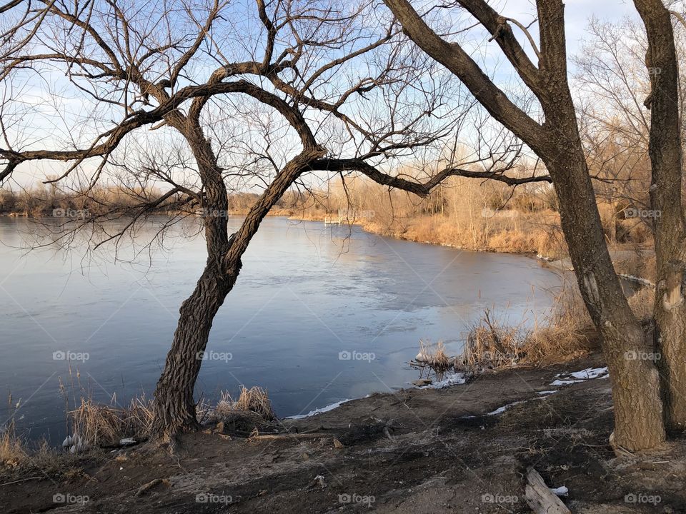 Pretty bare trees by the cold lake water