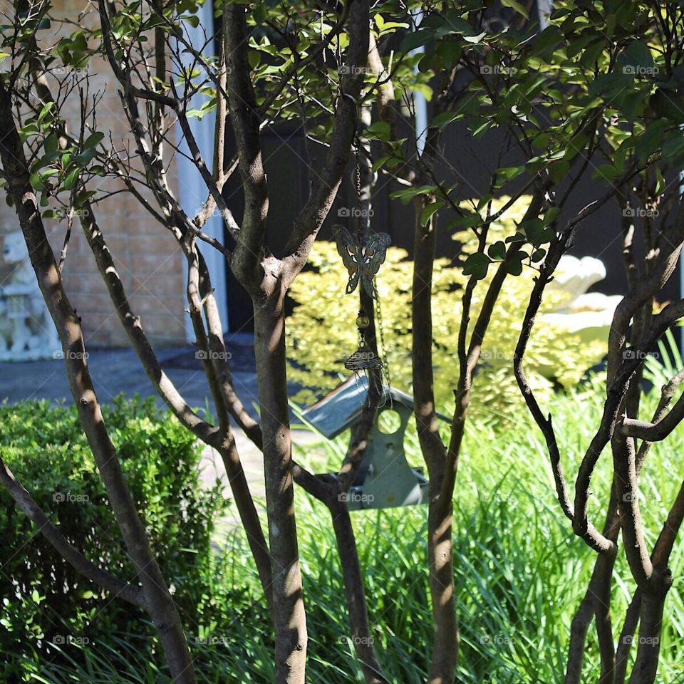 Birdhouse in the tree!