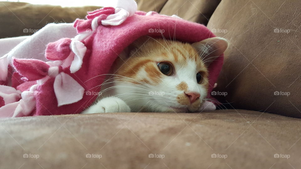 is it Christmas already?