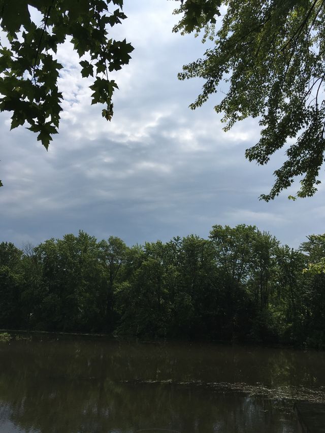 The sky