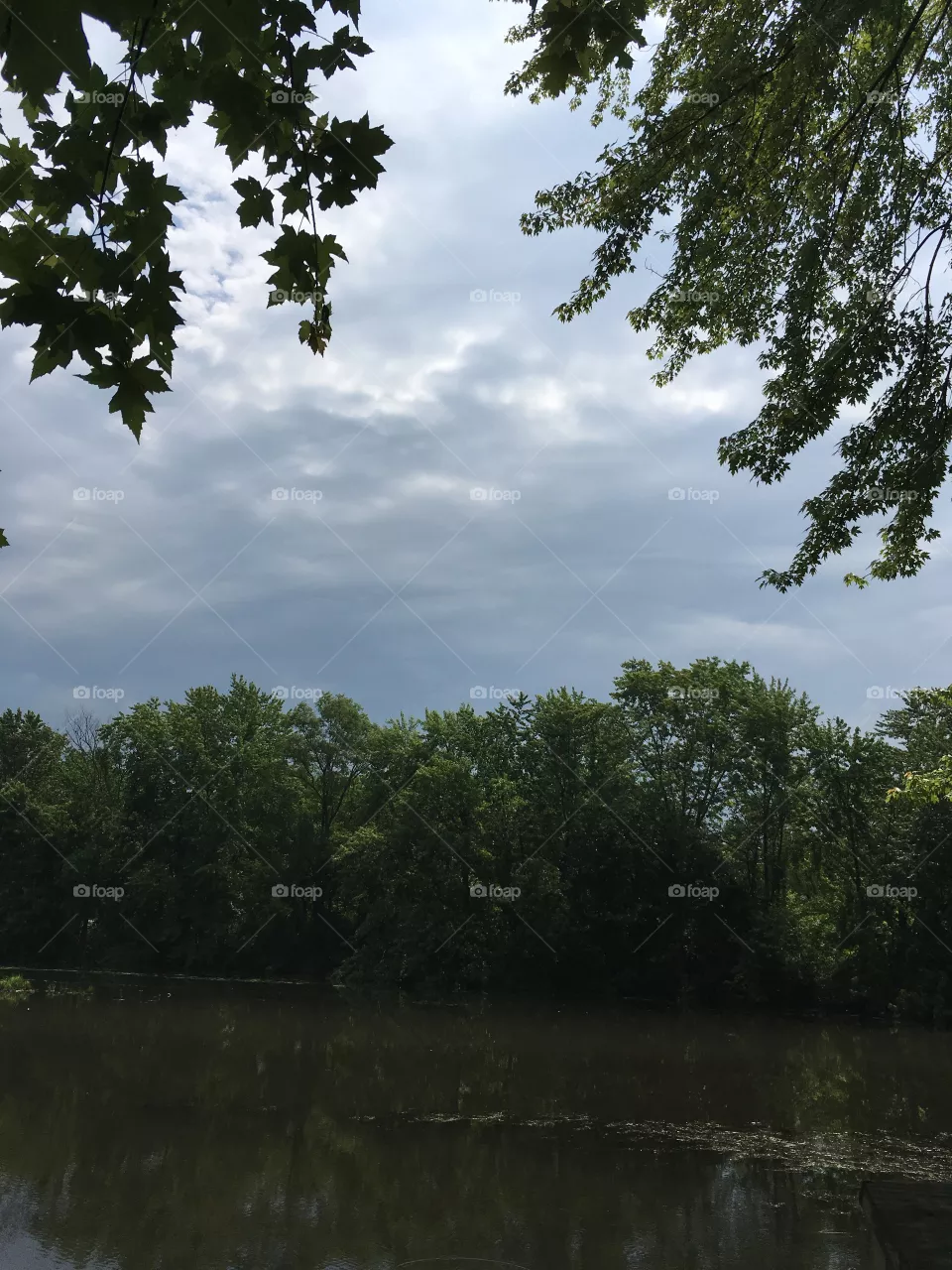 The sky
