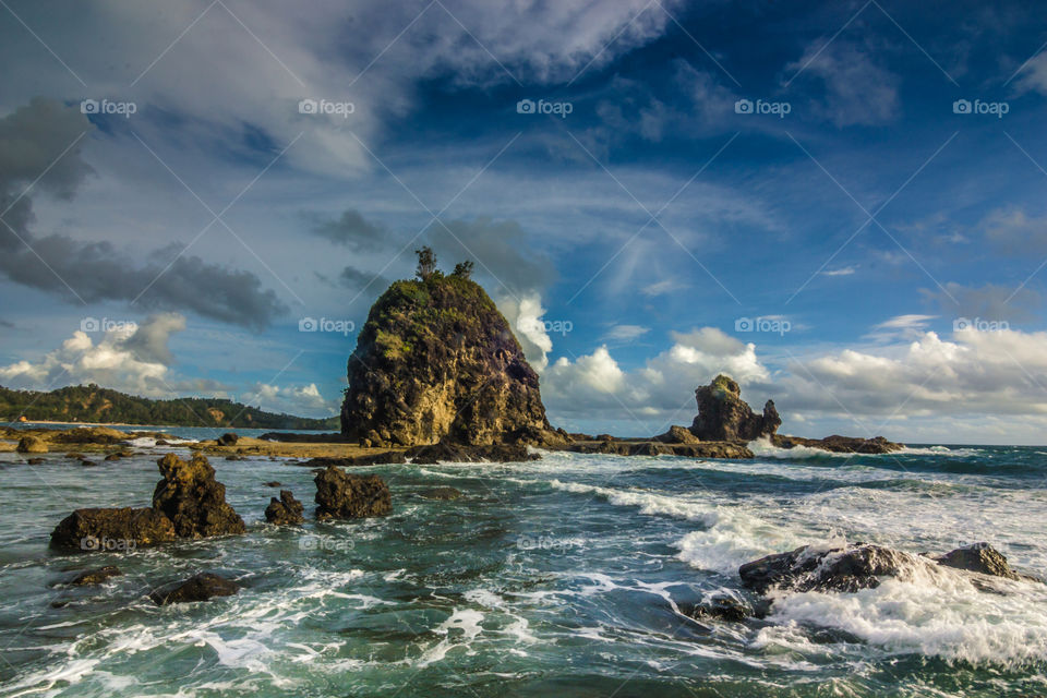 the beauty of the beach in summer