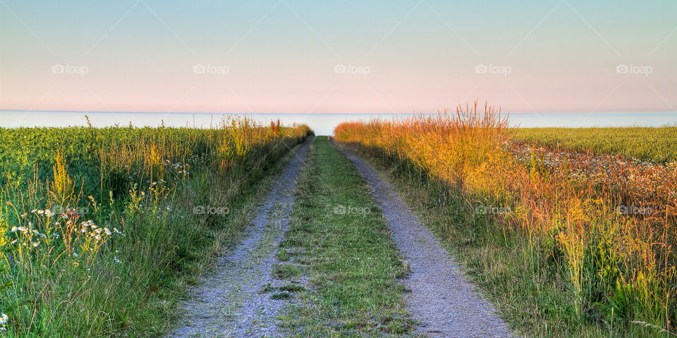 kivik sweden ocean sweden grass by sethson