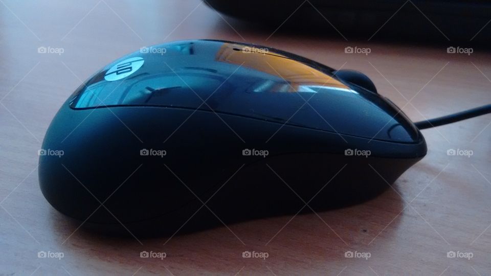 mouse. my laptop's mouse.