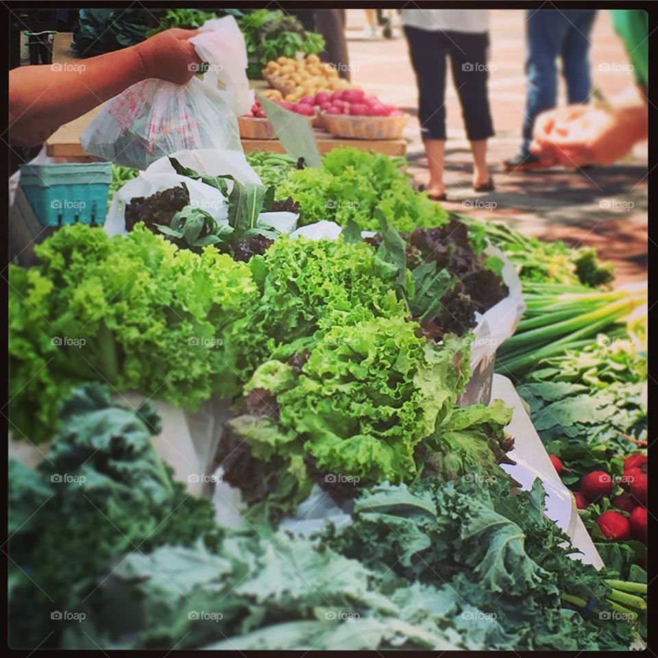 Grow, Vegetable, Food, Lettuce, Greenhouse