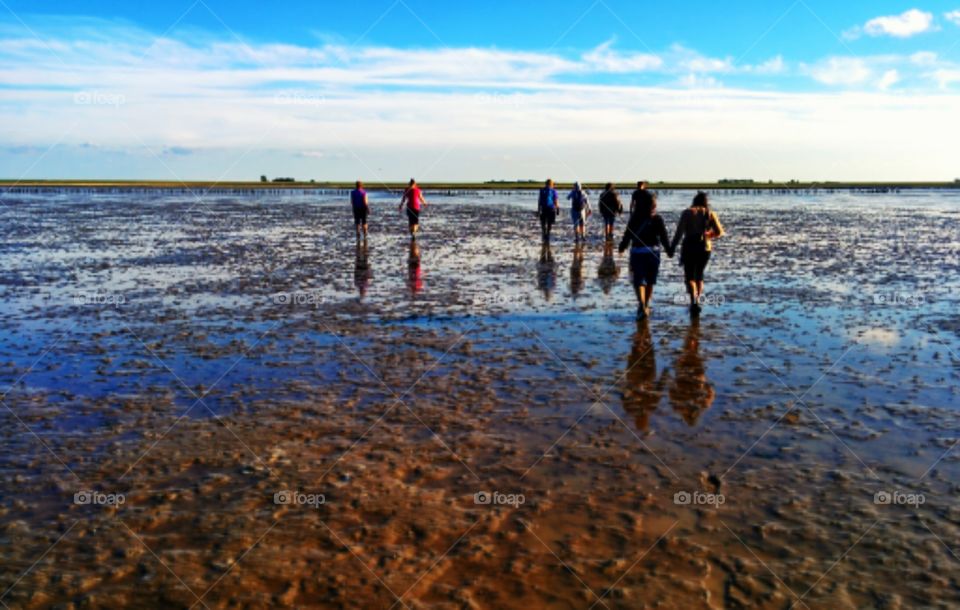 mud flat walking. mud flats walking is a popular recreational pursuit in the Netherlands