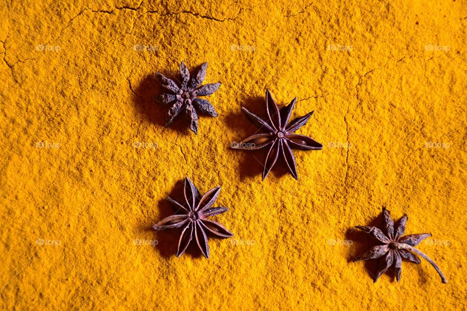 Star anise on yellow turmeric powder