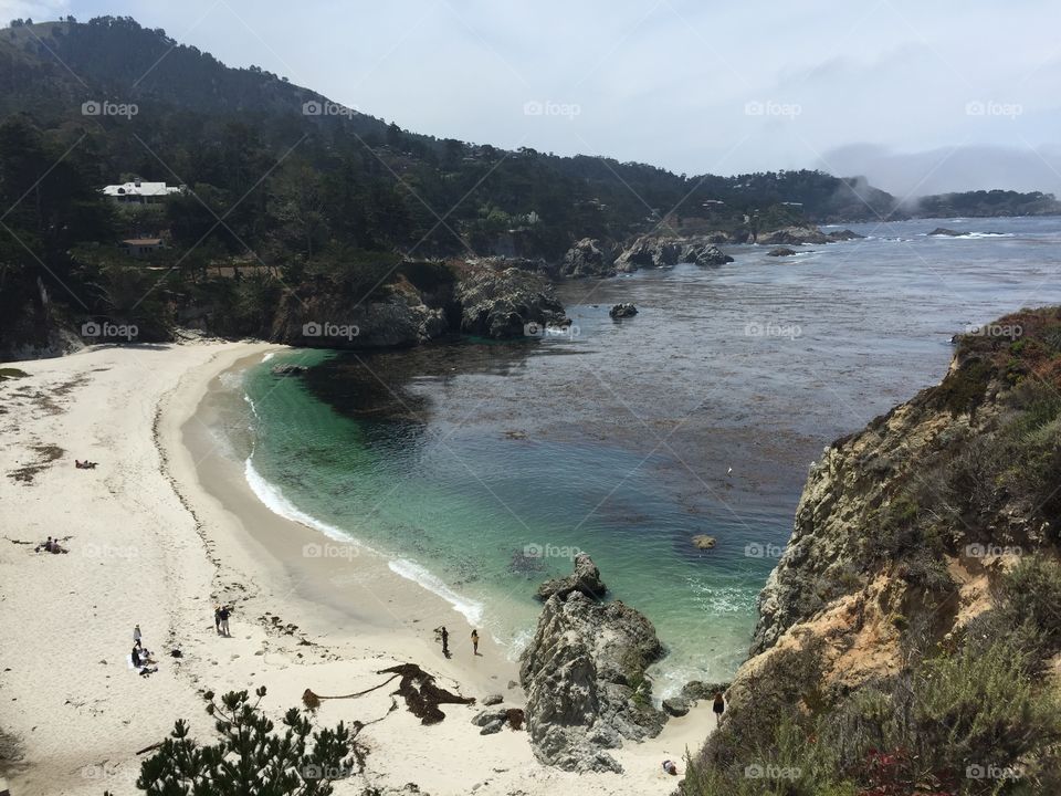 Point Lobos View 3