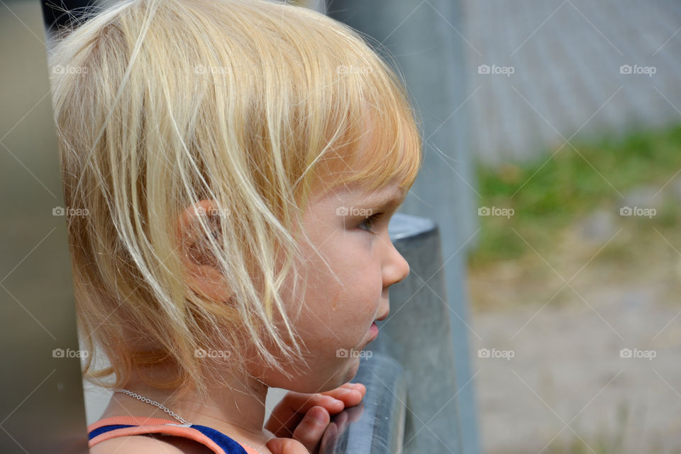 Little girl watching a animal at Copenhagen Zoo.