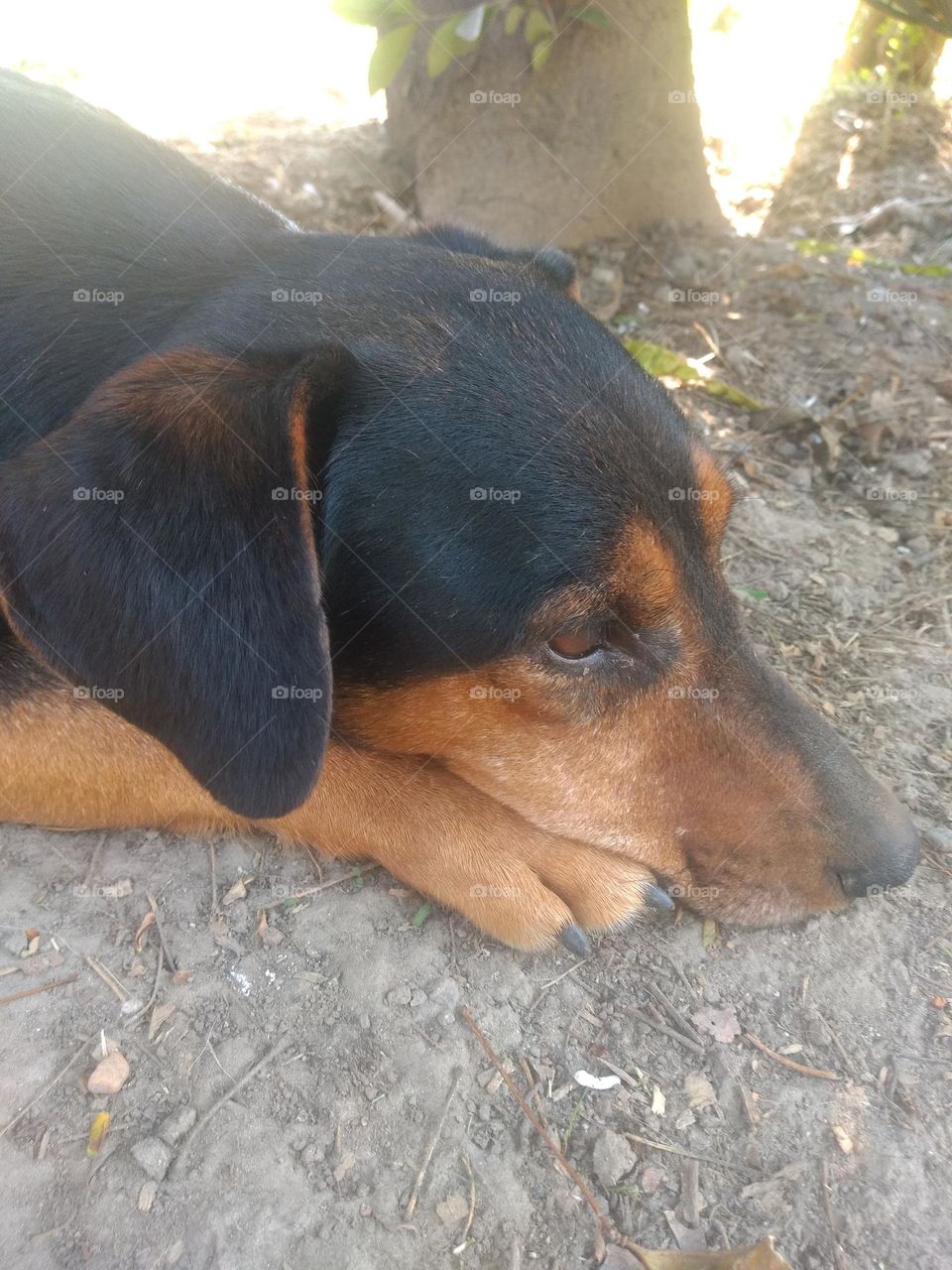 Editors' Choice - Photo of the Week!