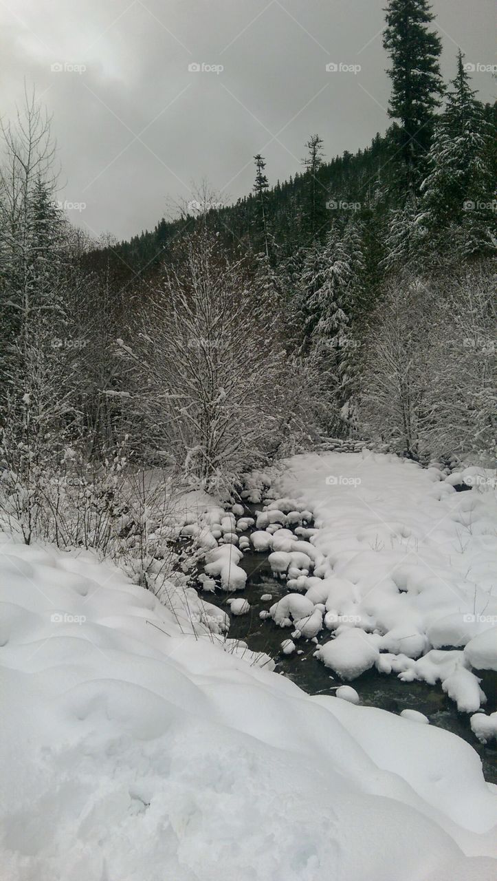 Upper Willamette Pass