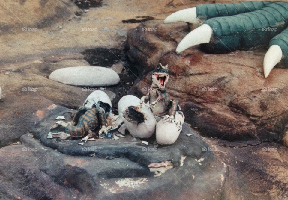 Dinosaur eggs hatching