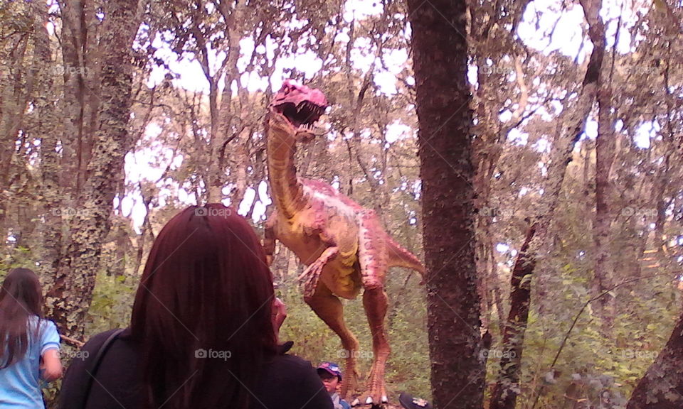 Editors'Choice:Photo of the...