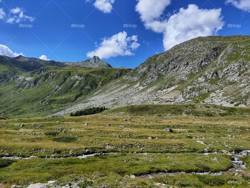 Landscape in swiss