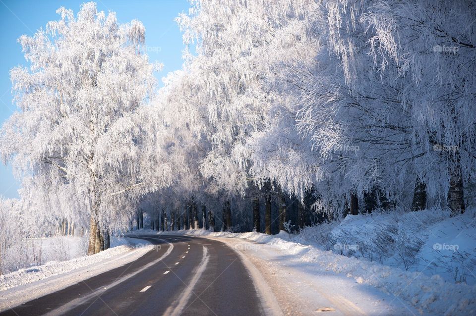 Winter road