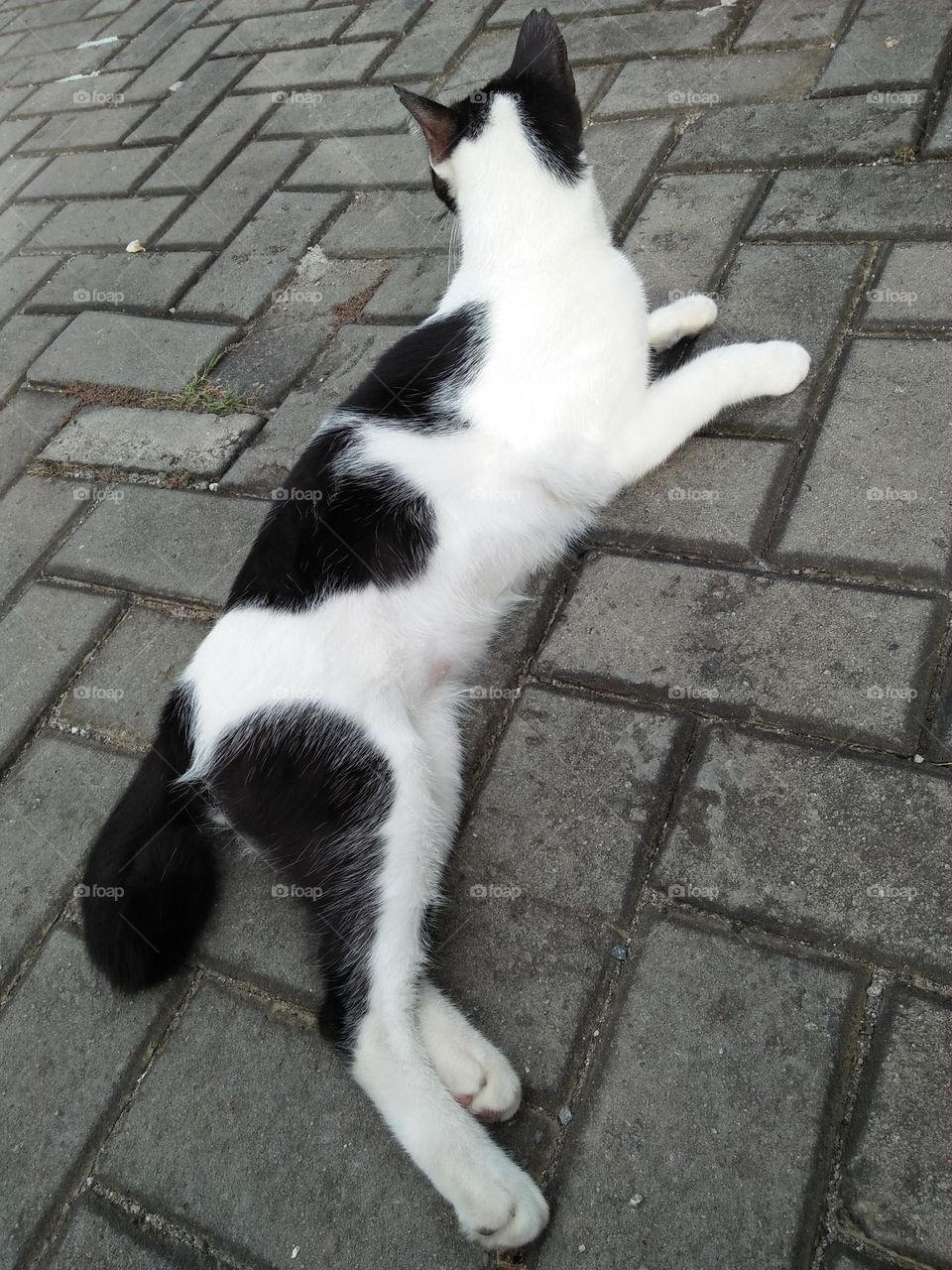 always sit in the middle of the road