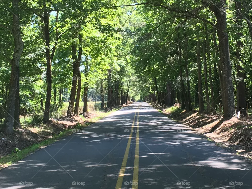 Country Road 