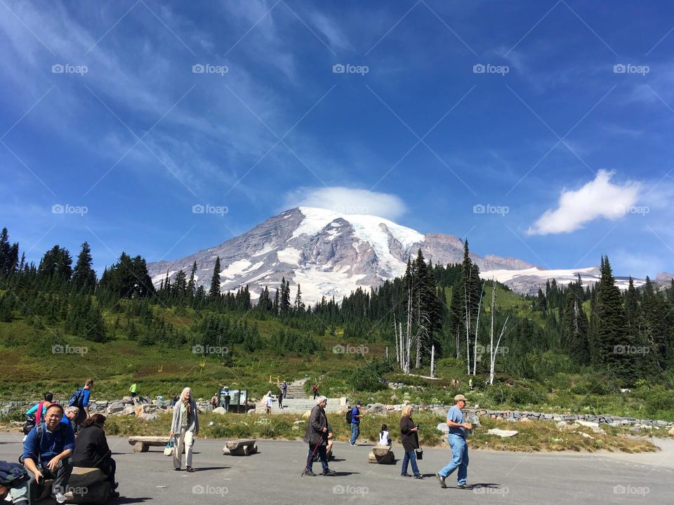 MT. RAINIER