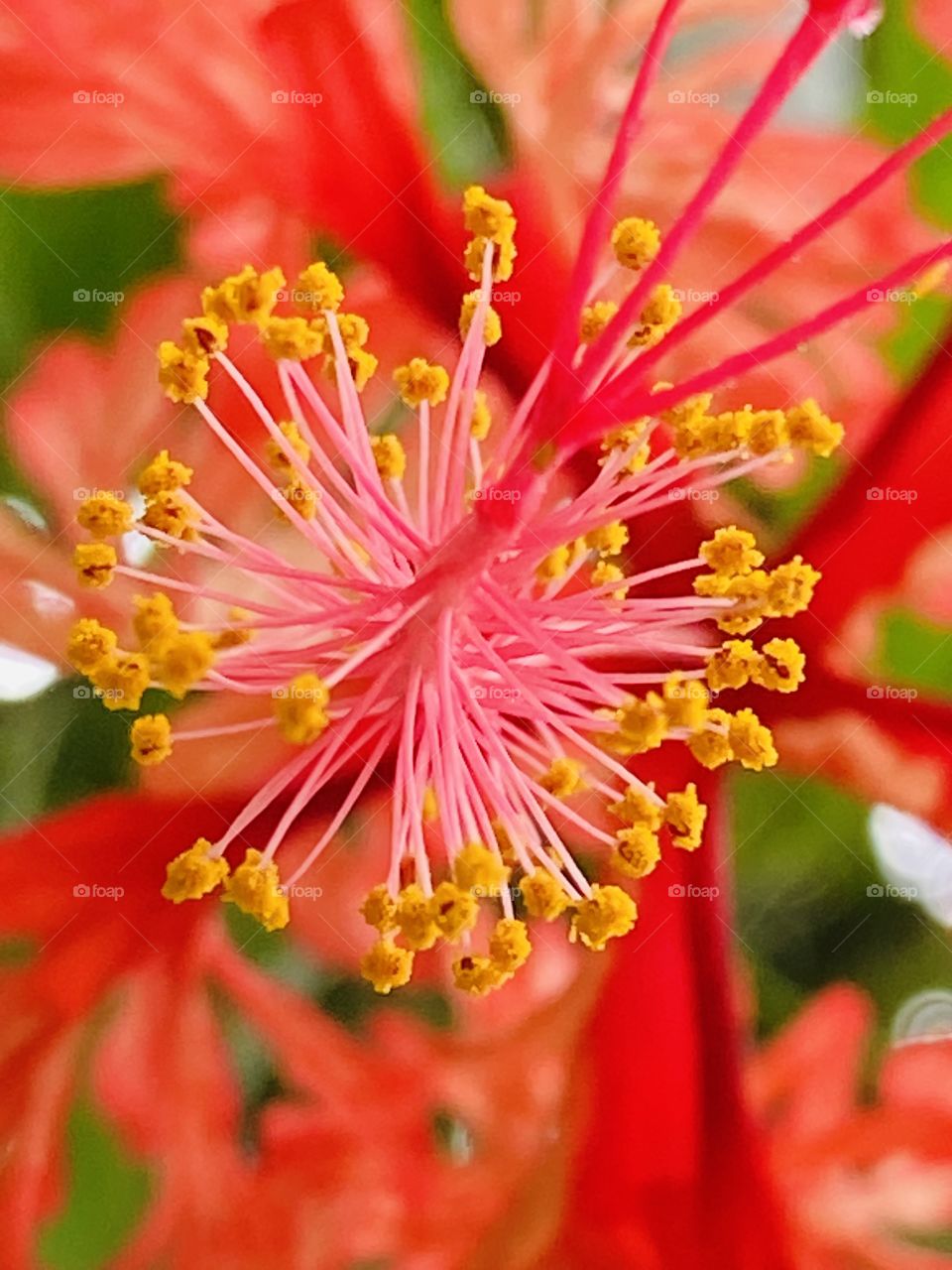 True nature with red