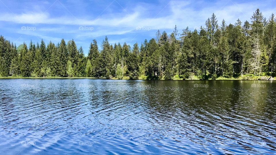 Étang de la Gruère