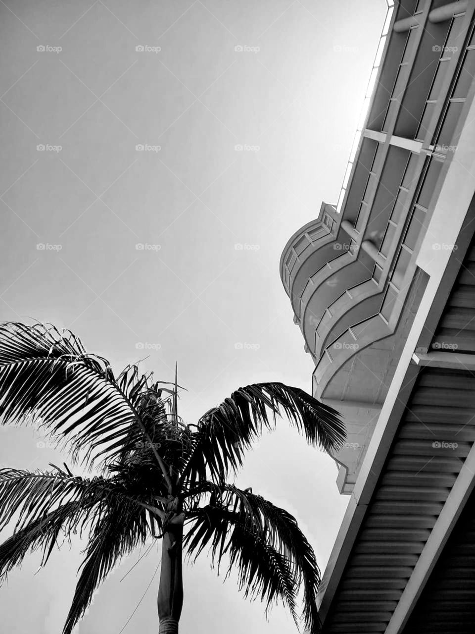 building with a curve