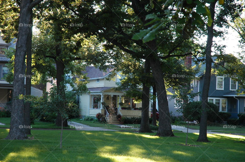 Historic Neighborhood Street. Historic Tree-lined Neighborhood Street