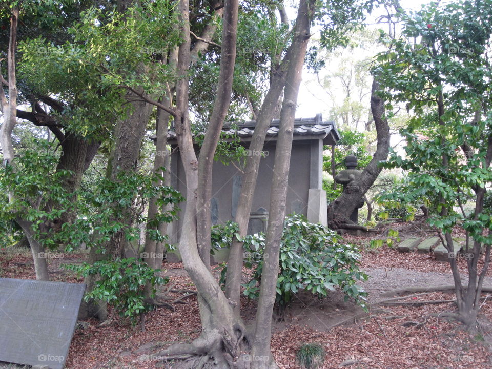 Asakusa Kannon. Sensoji Buddhist Temple and Gardens. Tokyo, Japan. Forest and Small Wooden Structure.