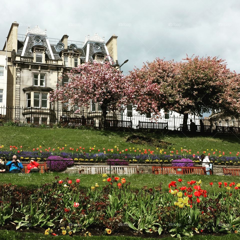 Edinburgh Spring